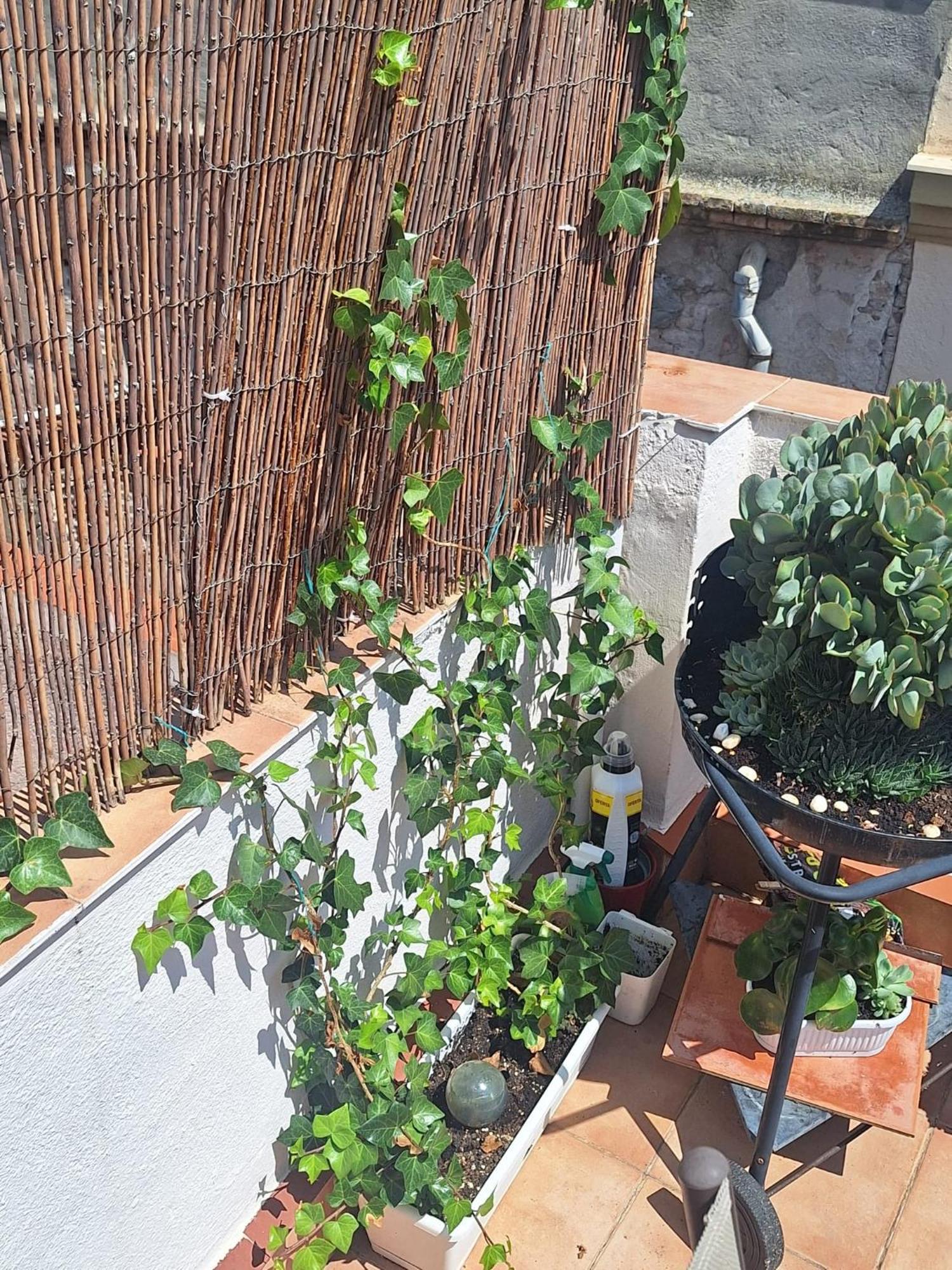 El Terrat De La Tecla - Duplex Casc Antic Apartment Tarragona Exterior foto